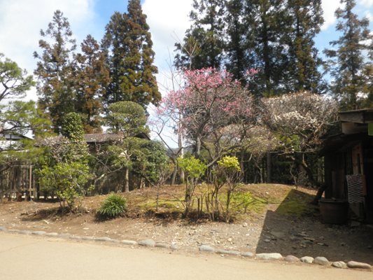 enzen270323