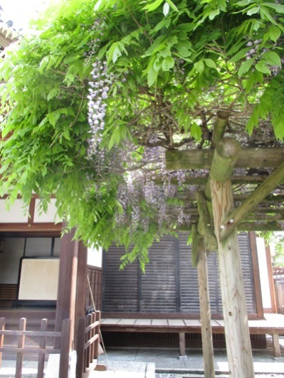 fuji2010512