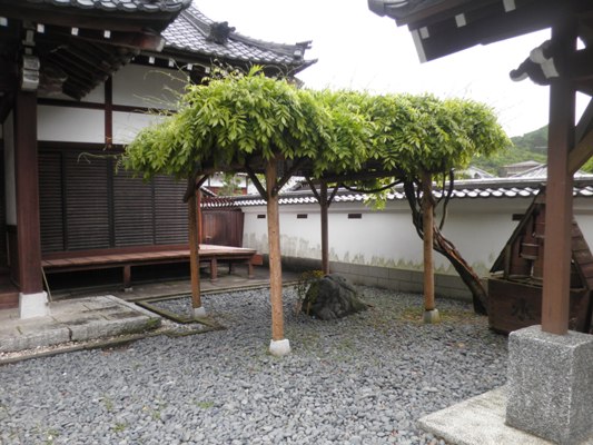 fuji2280510