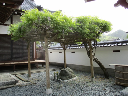 fuji2290507
