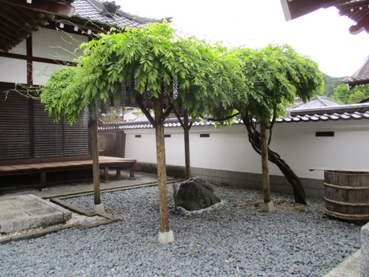fuji3290515
