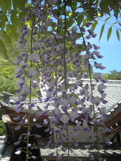 fujikin270503