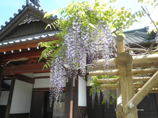 fujinaka270503