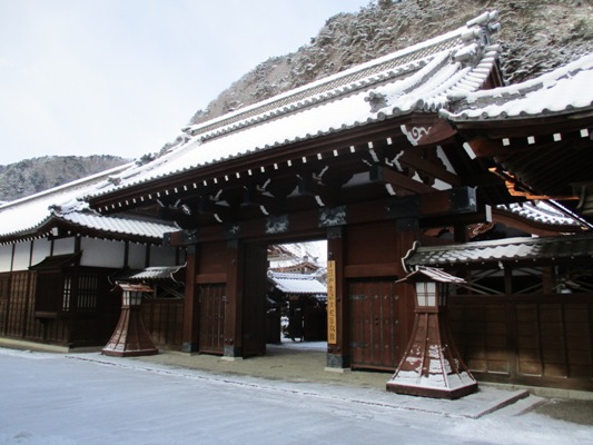 gai1300218