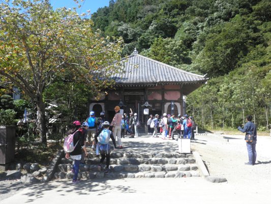 gaku1260929