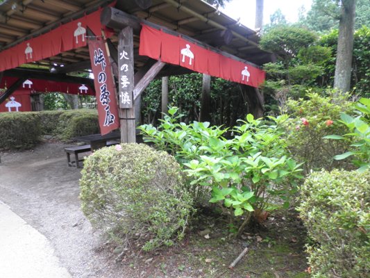 gaku1280621