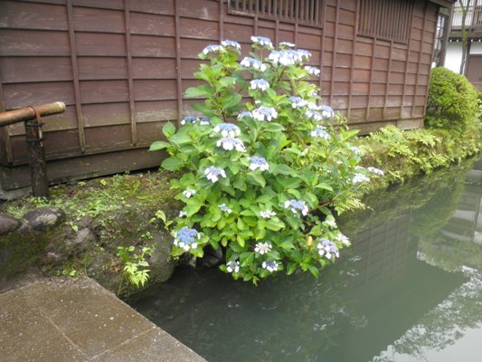 gaku2280628