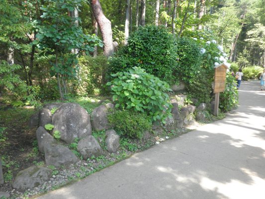 gakuen270713