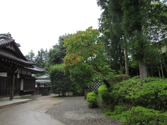 geki1300906