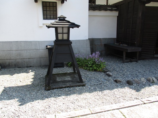 gi2010809