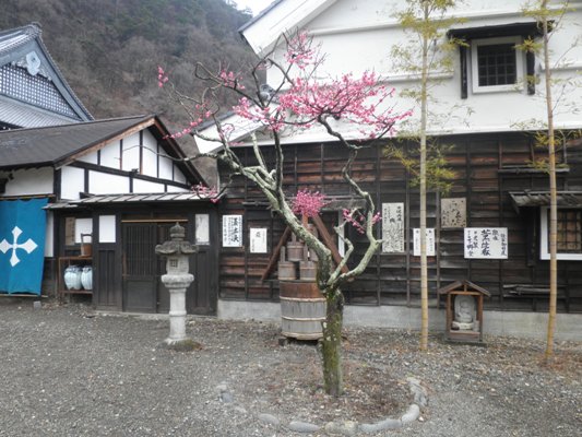 ha1270319