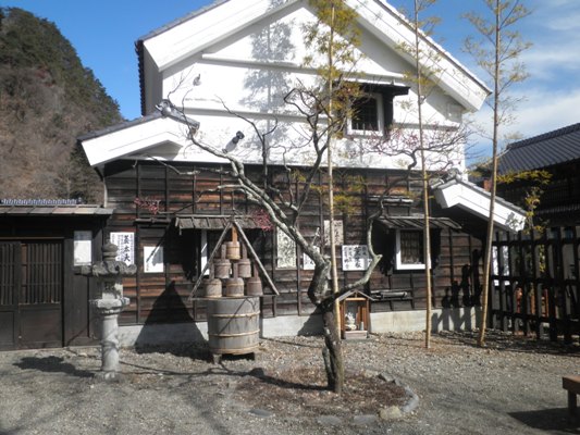 haen270224