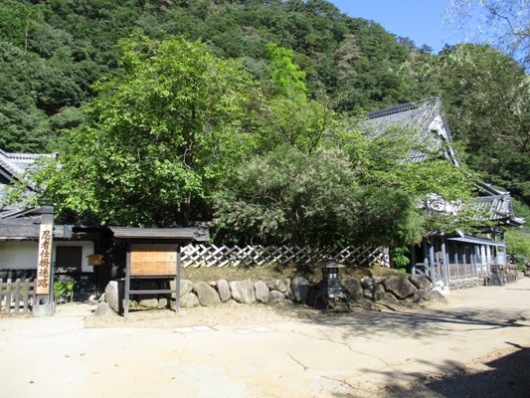 hagi1010922