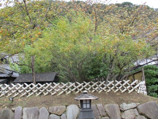 hagi1291024