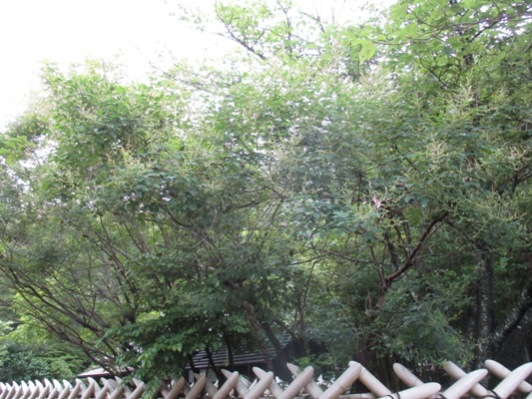 hagi2010721