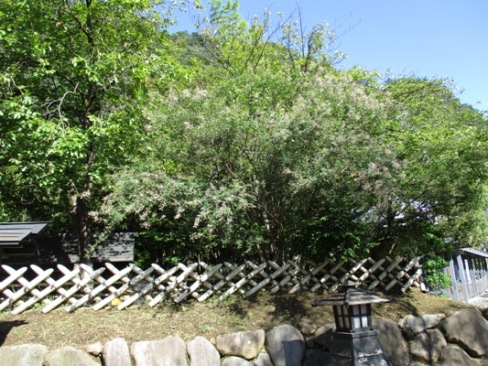 hagi2010922