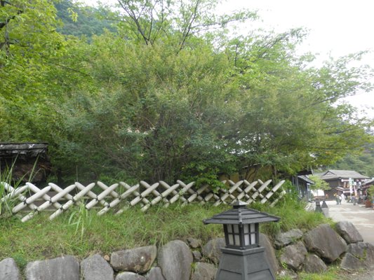 hagi2270709