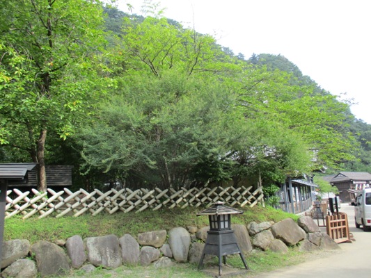 hagi2290829