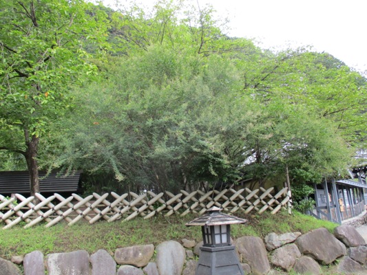 hagi2290904