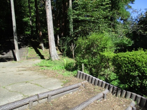 hagi2300919