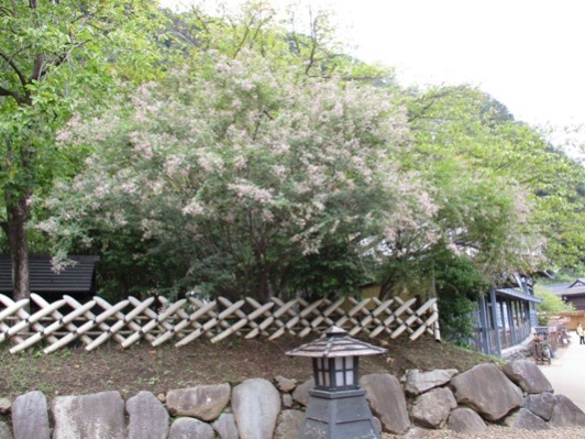 hagi2300920