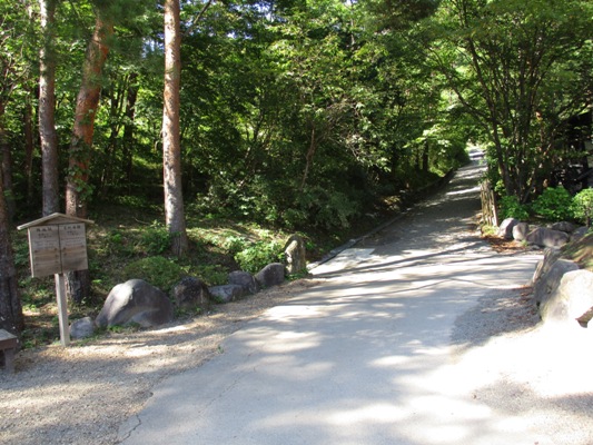 hagi5300919
