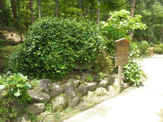 hahane280707