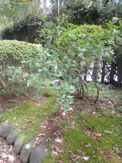 hakai2280914