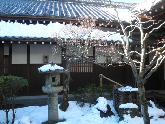 haku3280124