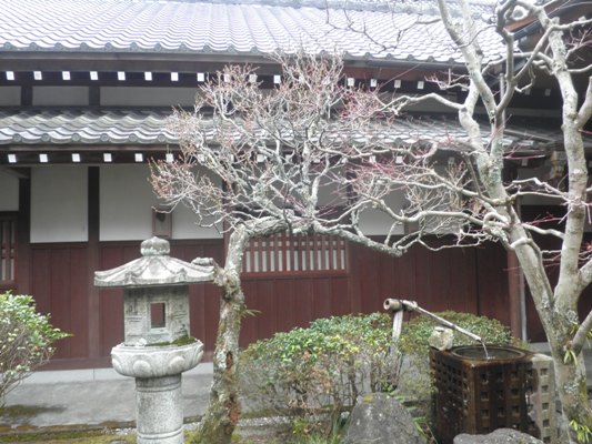 hakuen270305