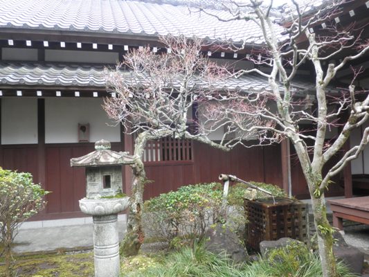 hakuen270309