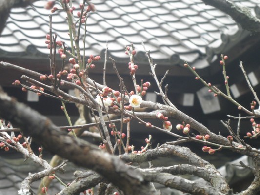 hakukin270305