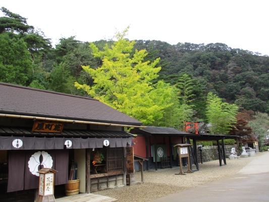hana1011029