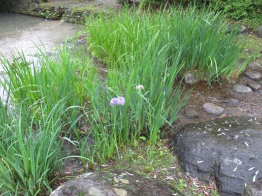 hana2010701