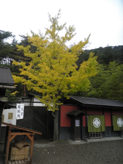 hana2281101