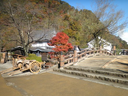 hashi1281115