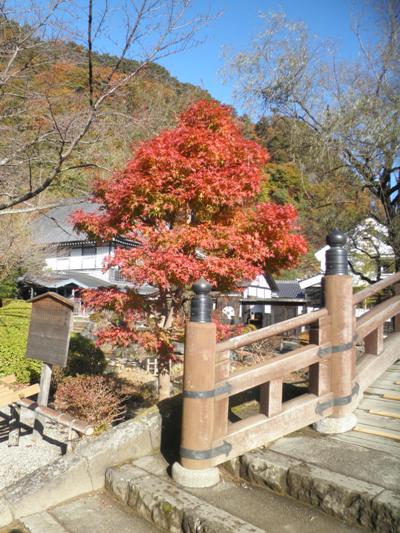 hashi2281115