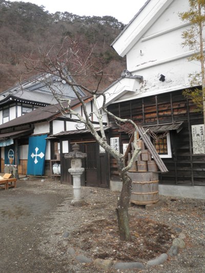 hashien270119