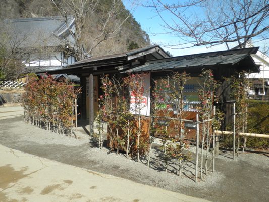 hashien270228