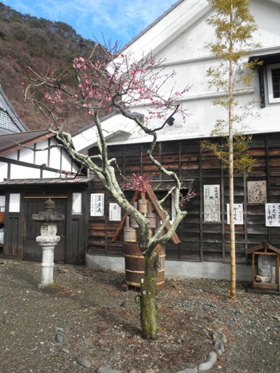 hashien270305