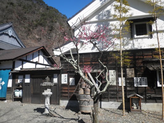 hashien270310