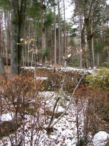 hida2301230