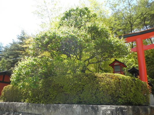 hidaen270513