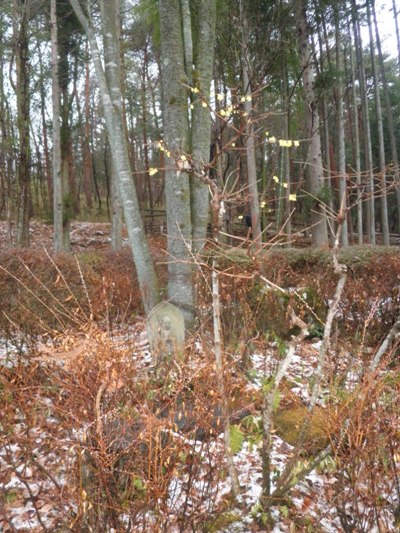 hidarien270122
