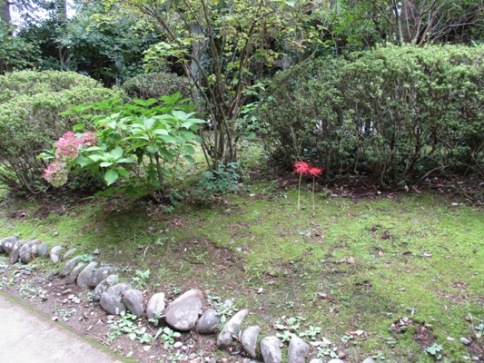 higa2300918