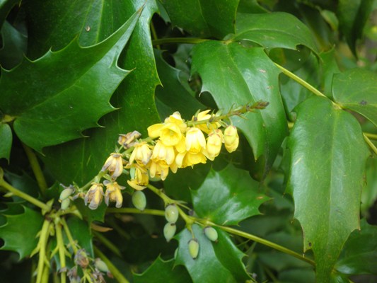 hiikin270427