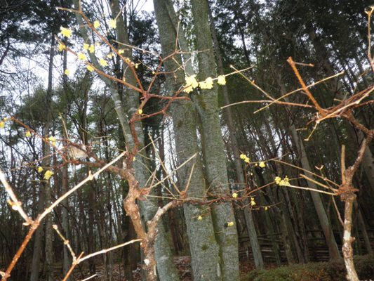 hikin270122