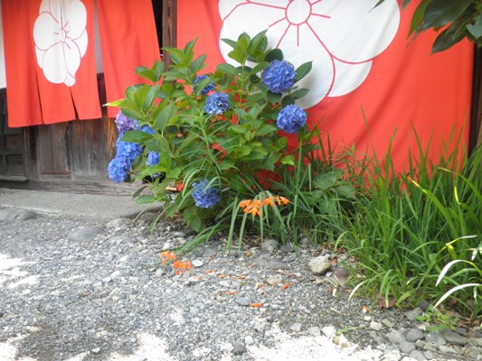 hime2280719