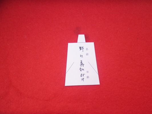 hina4290302