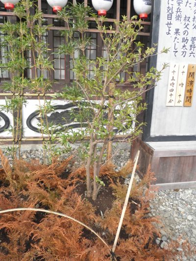 hisa271226